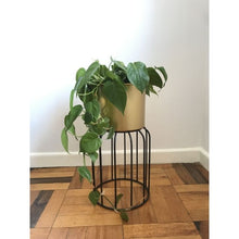 Load image into Gallery viewer, Metal tier ,Metal ,Bamboo ,Rustic Gold ,Tripod plant stand, Rectangular plant stand, Gold Aluminium planter, Metal hanging planters, Bamboo planter with wooden base
