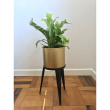 Load image into Gallery viewer, Metal tier ,Metal ,Bamboo ,Rustic Gold ,Tripod plant stand, Rectangular plant stand, Gold Aluminium planter, Metal hanging planters, Bamboo planter with wooden base
