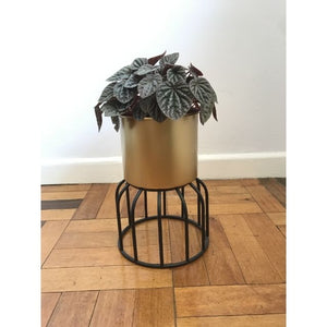 Metal tier ,Metal ,Bamboo ,Rustic Gold ,Tripod plant stand, Rectangular plant stand, Gold Aluminium planter, Metal hanging planters, Bamboo planter with wooden base