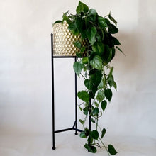 Load image into Gallery viewer, Metal tier ,Metal ,Bamboo ,Rustic Gold ,Tripod plant stand, Rectangular plant stand, Gold Aluminium planter, Metal hanging planters,Bamboo planter with wooden base
