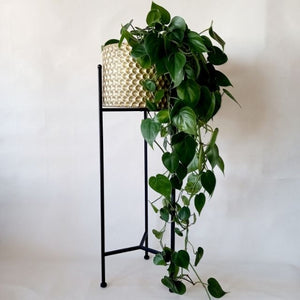 Metal tier ,Metal ,Bamboo ,Rustic Gold ,Tripod plant stand, Rectangular plant stand, Gold Aluminium planter, Metal hanging planters,Bamboo planter with wooden base