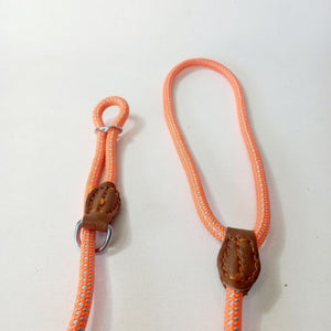 Dog Comfort Slip Lead - Orange & Blue
