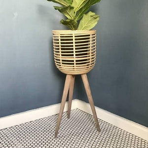 Metal tier ,Metal ,Bamboo ,Rustic Gold ,Tripod plant stand, Rectangular plant stand, Gold Aluminium planter, Metal hanging planters, Bamboo planter with wooden base