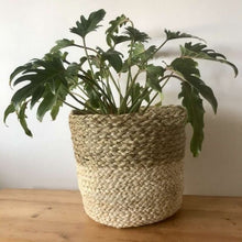 Load image into Gallery viewer, Woven Bamboo baskets, Storage Baskets, Willow baskets  ,Hanging woven baskets ,Vintage wire 

